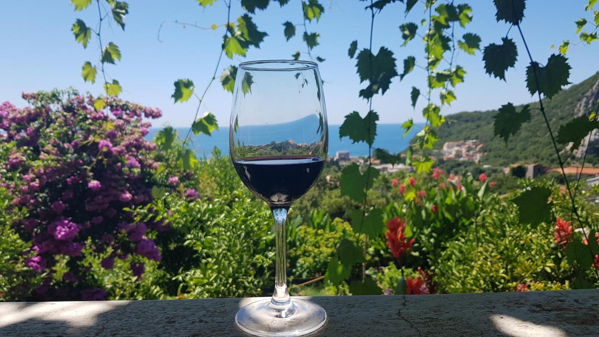 Vila Pogled Petrovac Exterior photo